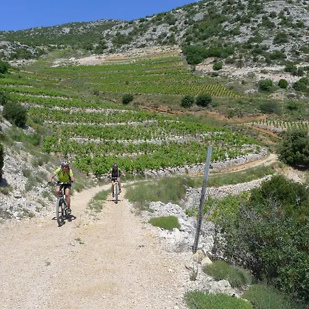 Aminess Younique Bellevue 4* 奥瑞比克