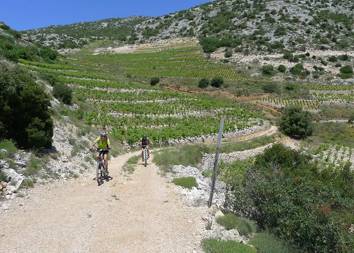 Aminess Younique Bellevue 4* Orebić